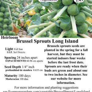 Evermore Gardens Brussel Sprouts Long Island Brussel Sprouts Heirloom Seeds