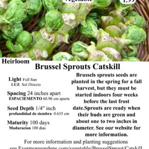 Evermore Gardens Brussel Sprouts Catskill Brussel Sprouts Heirloom Seeds