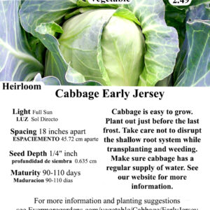 Evermore Gardens Cabbage Early Jersey Heirloom Seeds
