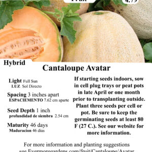 Evermore Gardens Cantaloupe Avatar Cantaloupe Avatar Hybrid Seeds