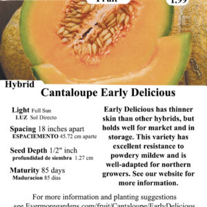 Evermore Gardens Cantaloupe Early Delicious Hybrid Seeds