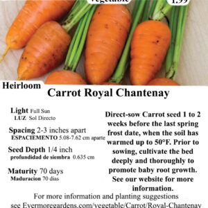 Evermore Gardens Carrot Royal Chantenay Heirloom Seeds