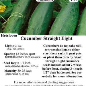 Evermore Gardens Straight Eight - Slicing cucumber Heirloom Seeds