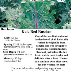 Evermore Gardens Kale Red Russian Heirloom Seeds