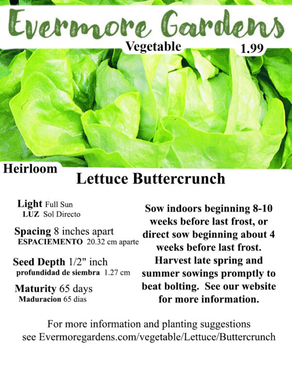 Evermore Gardens Bib Buttercrunch Lettuce Heirloom Seeds