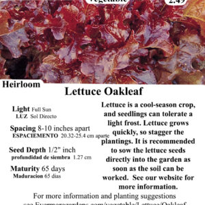 Evermore Gardens Oak Leaf Lettuce - red Lettuce Heirloom Seeds