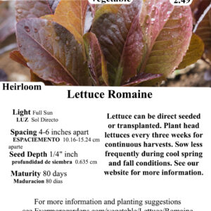 Evermore Gardens Romaine Lettuce -Red Lettuce Heirloom Seeds