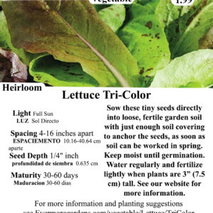 Oak Leaf Lettuce Red - Delicious and beautiful heirloom variety